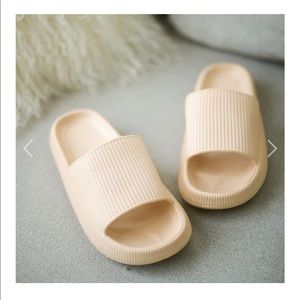 Pillow Slides ~ Women’s 6 Oat